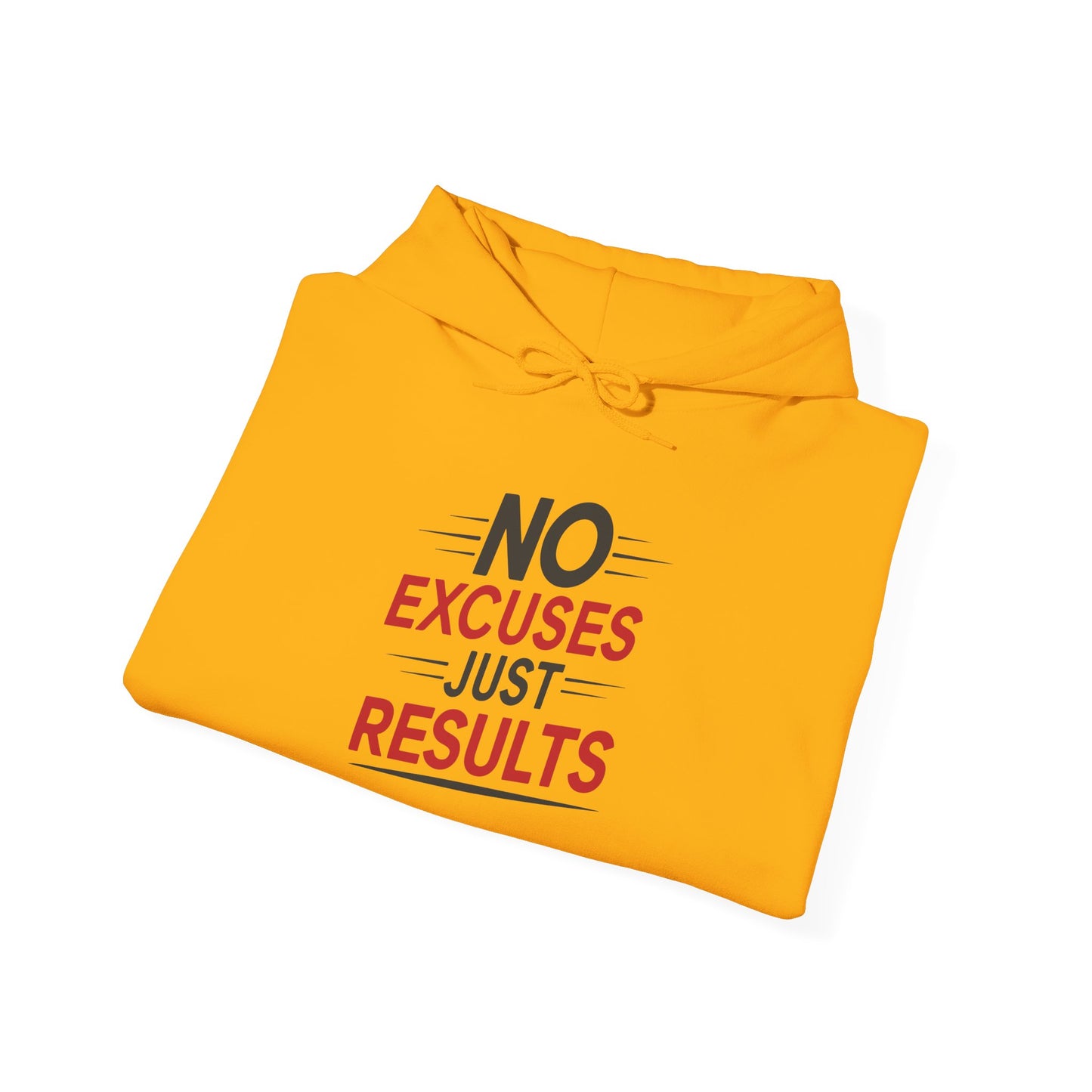 No Excuses Just Results - Hoodie