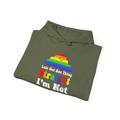 I'm NOT STRAIGHT - Hoodie
