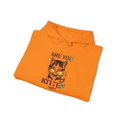 Are You Kitten Me? - Hoodie