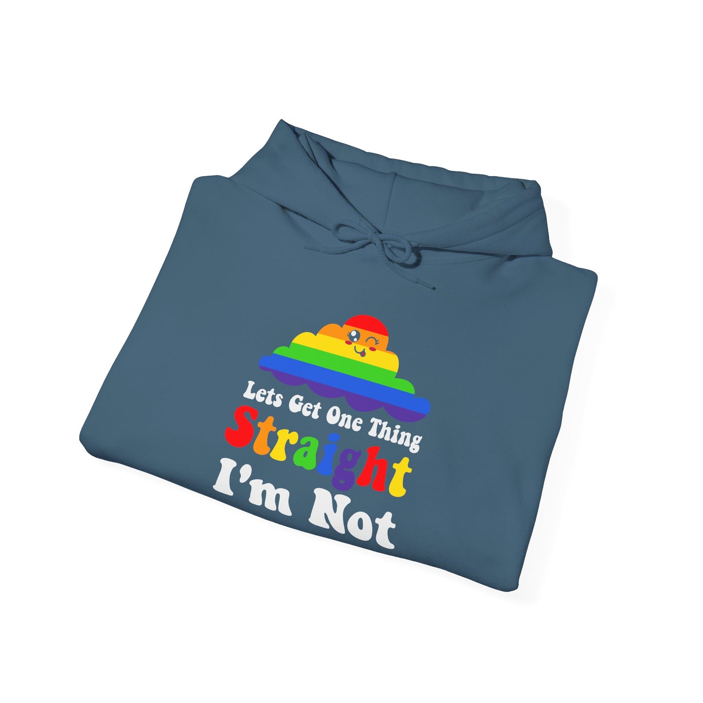 I'm NOT STRAIGHT - Hoodie