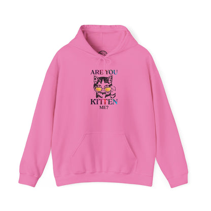 Are You Kitten Me? - Hoodie