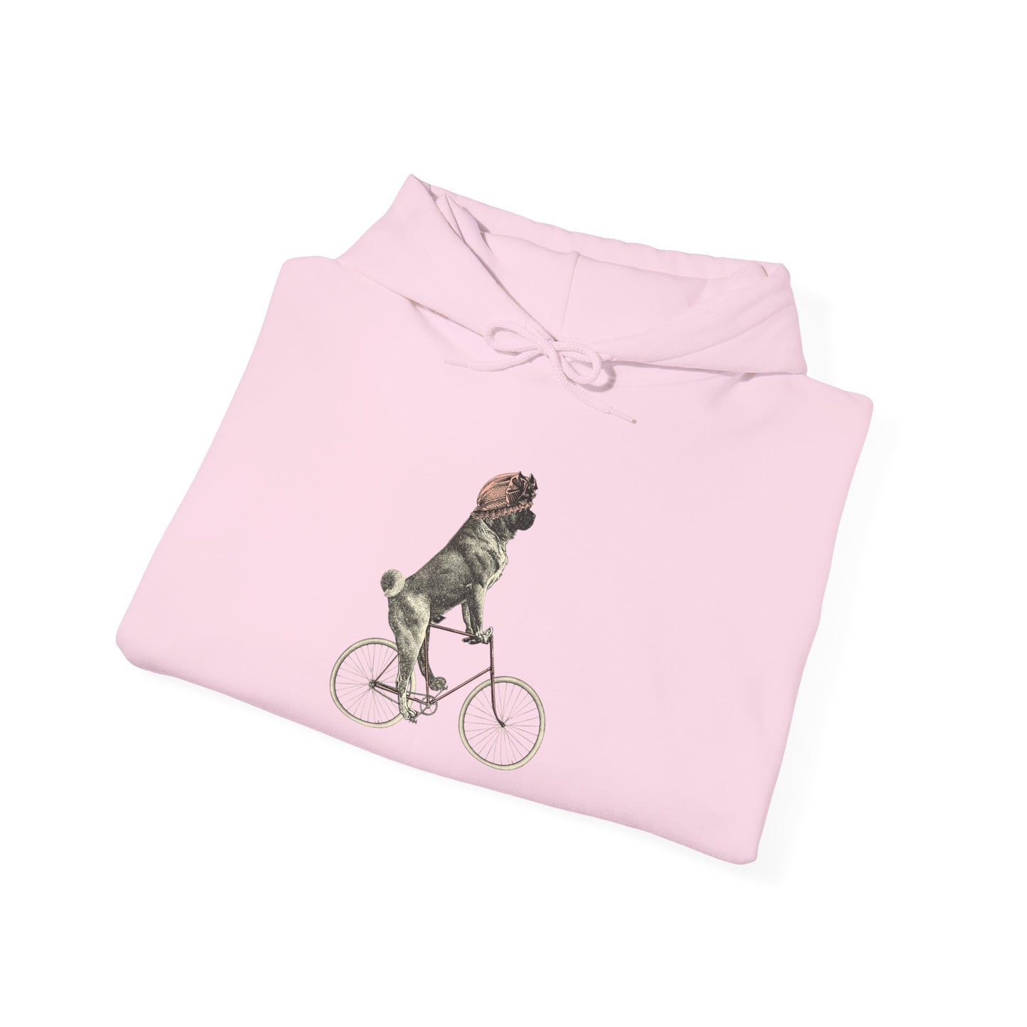 Dog on a Bicycle - Hoodie