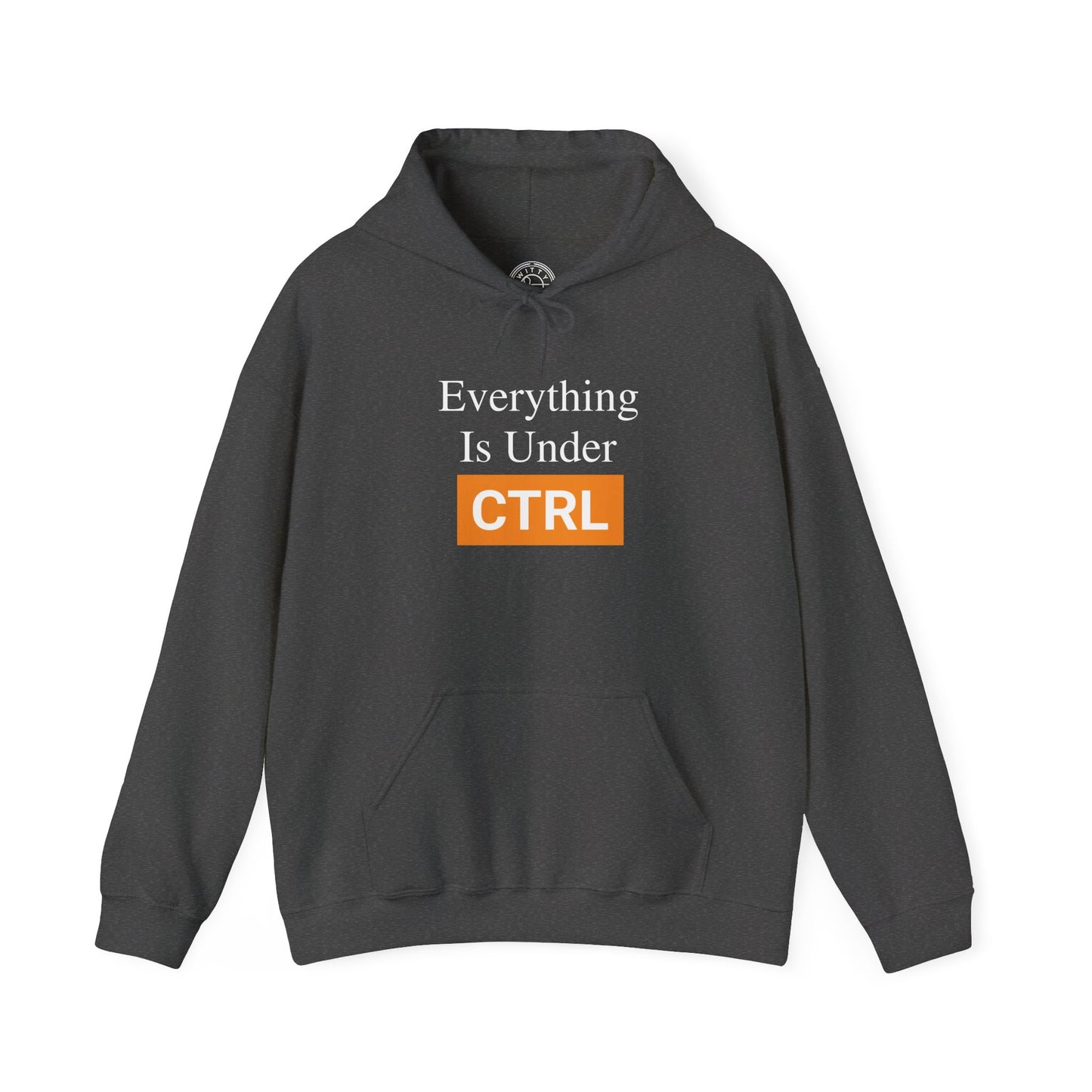 Everything is under CTRL -  Hoodie