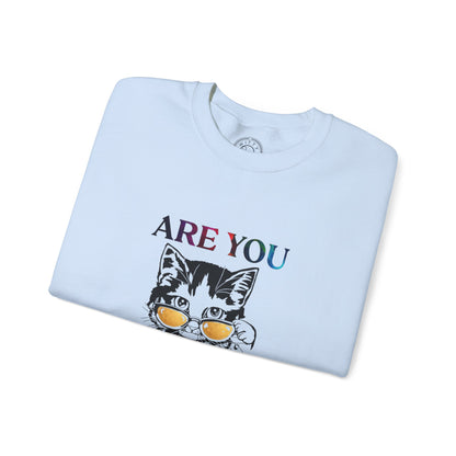 Are You Kitten Me? - Sweatshirt