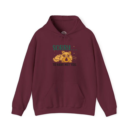 Sorry to have met you -  Hoodie