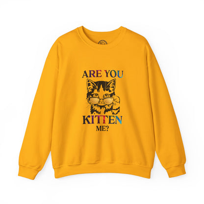 Are You Kitten Me? - Sweatshirt