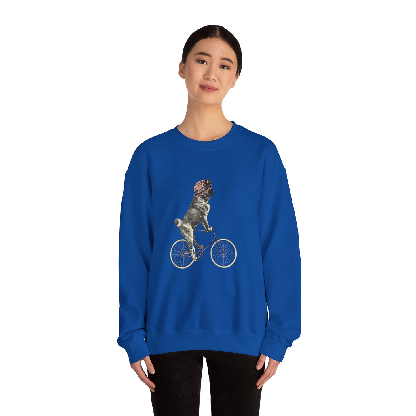 Dog on a Bicycle - Sweatshirt