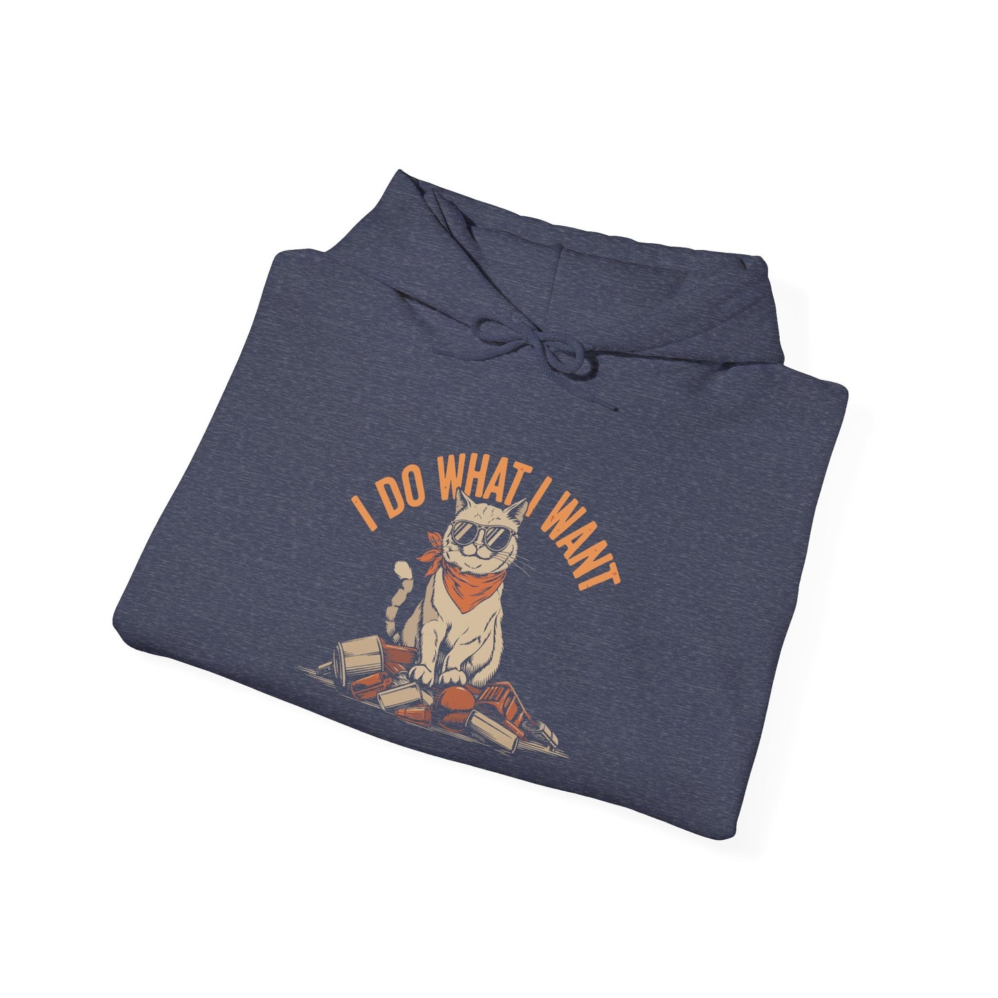 I Do What I Want -  Hoodie