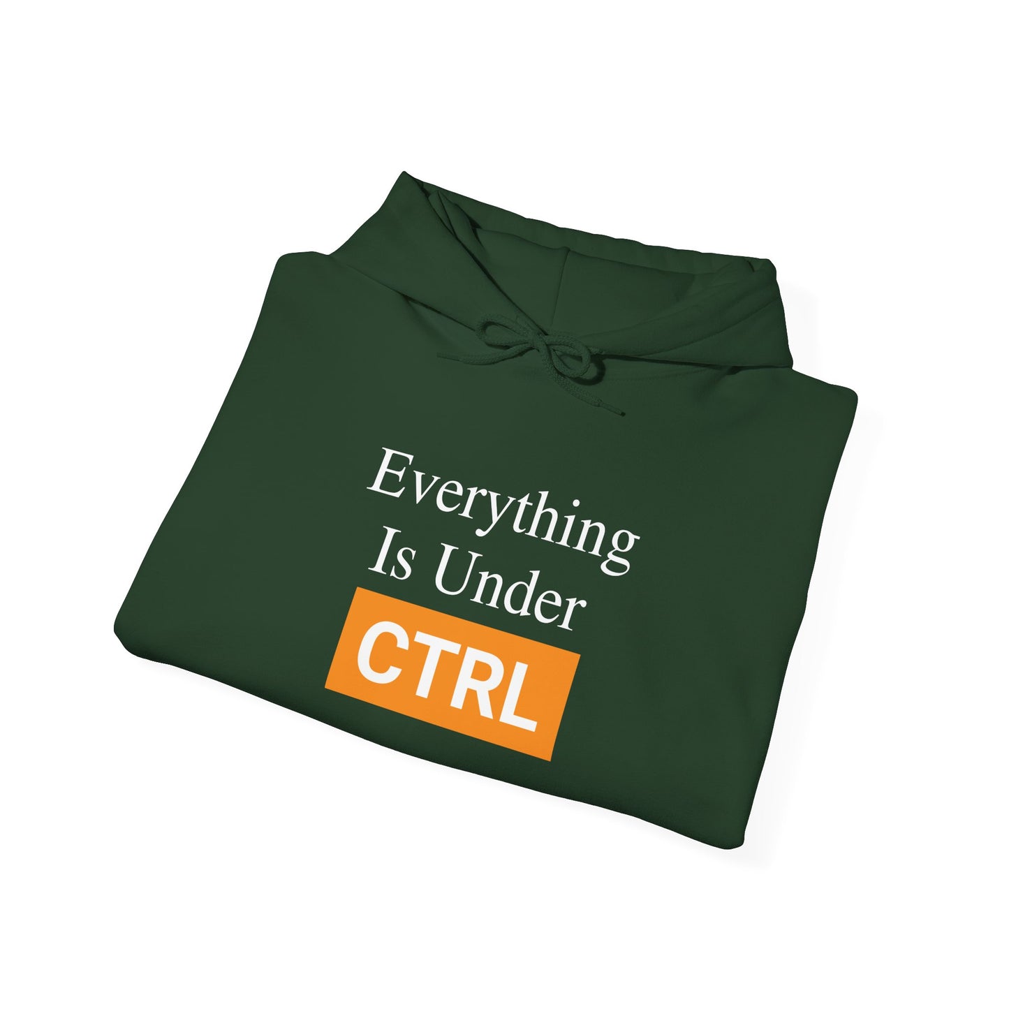 Everything is under CTRL -  Hoodie
