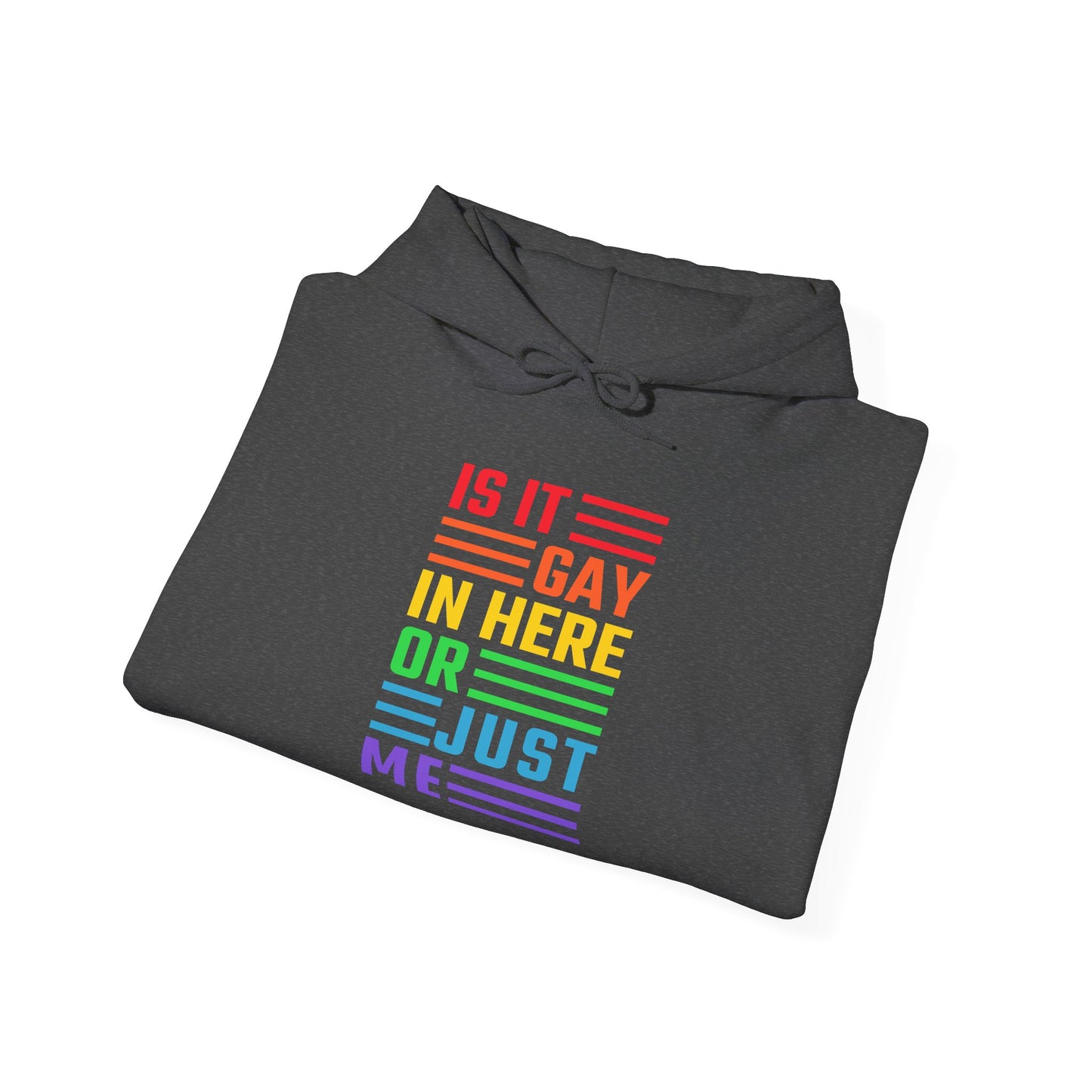 Is It Gay In Here Or Just Me - Hoodie