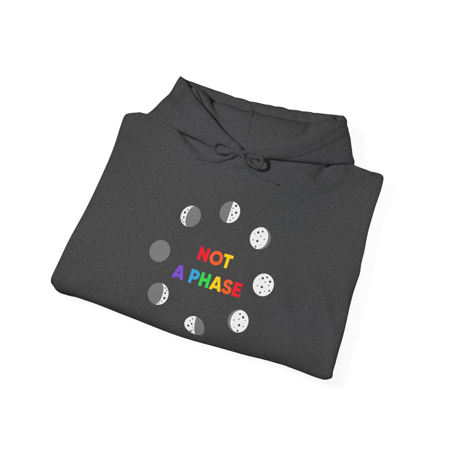 Not a Phase - Hoodie