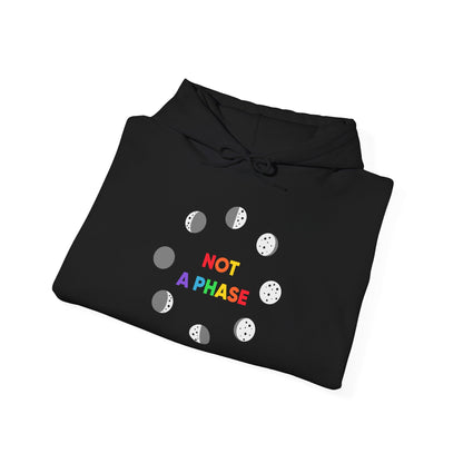 Not a Phase - Hoodie