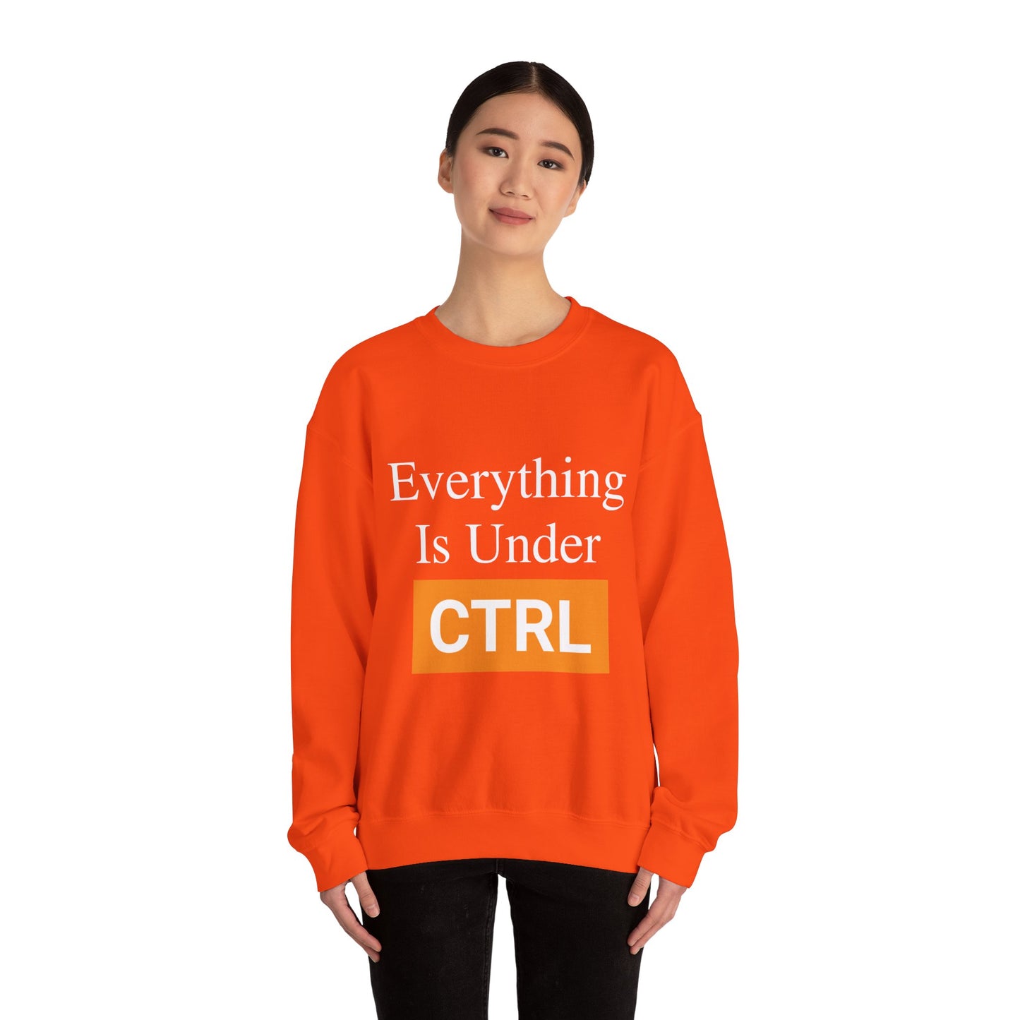 Everything is under CTRL - Sweatshirt