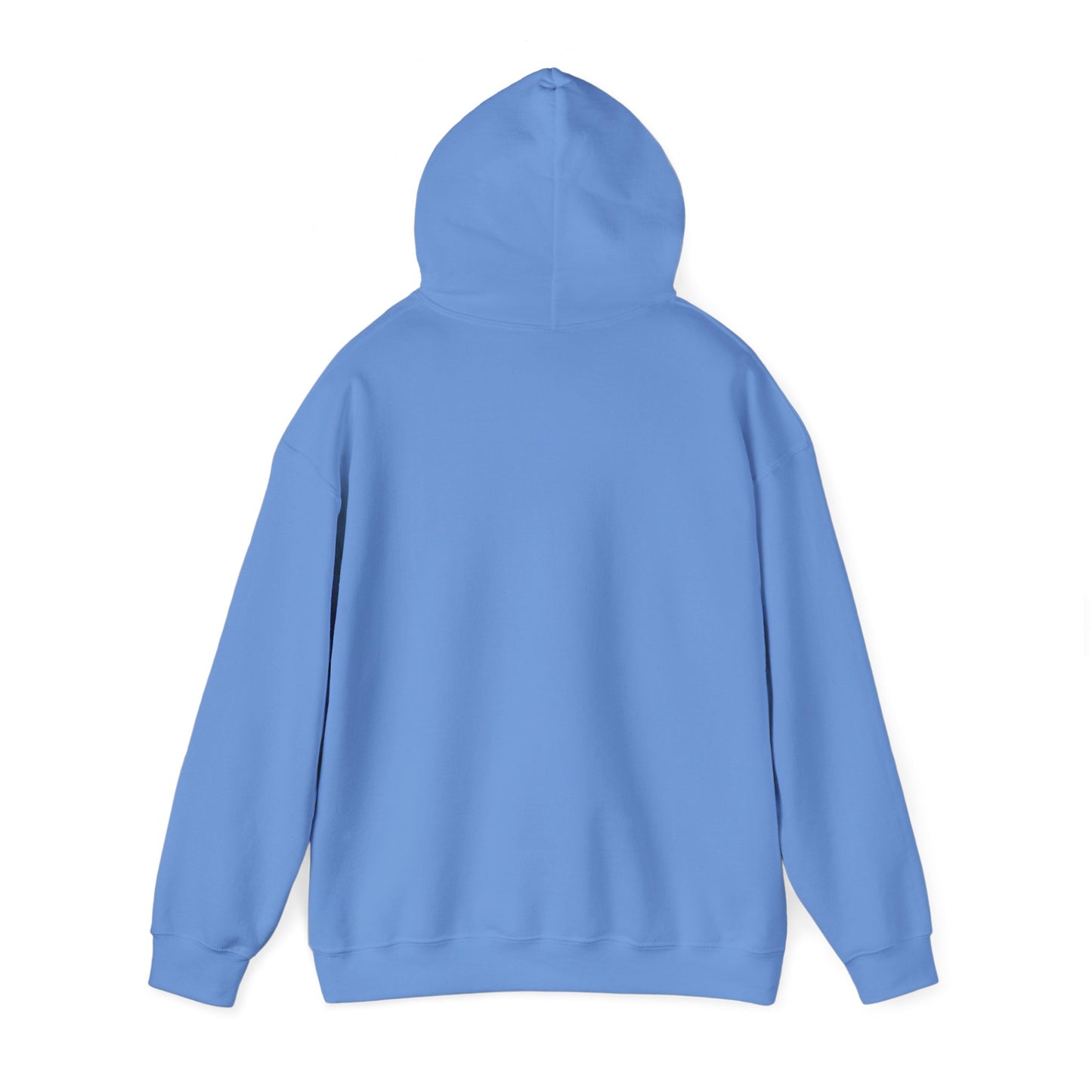 I Do Not Like You - Hoodie