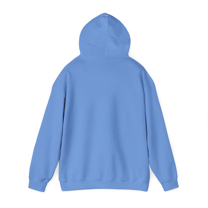 I Do Not Like You - Hoodie