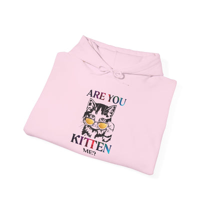 Are You Kitten Me? - Hoodie