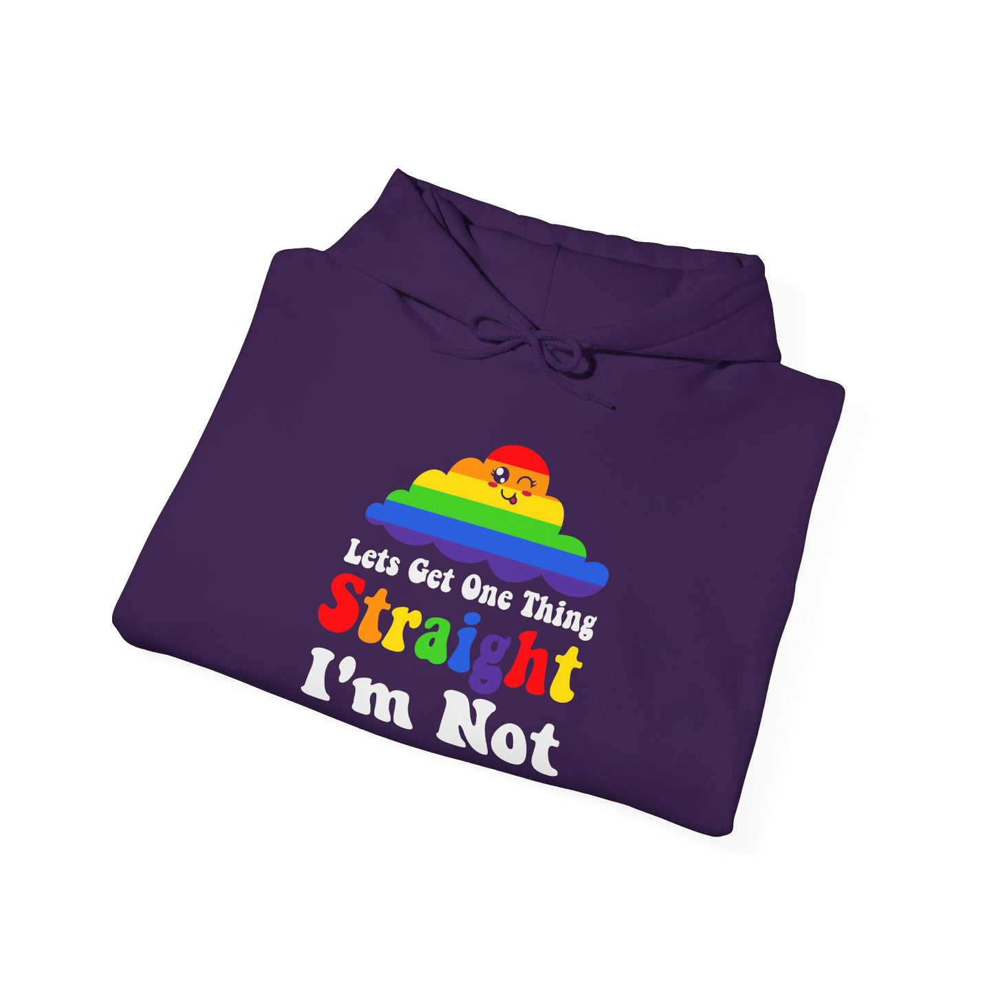 I'm NOT STRAIGHT - Hoodie