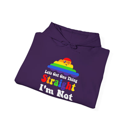 I'm NOT STRAIGHT - Hoodie