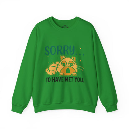 Sorry to have met you - Sweatshirt