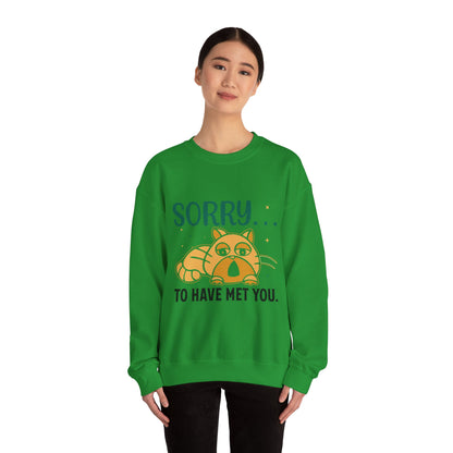 Sorry to have met you - Sweatshirt
