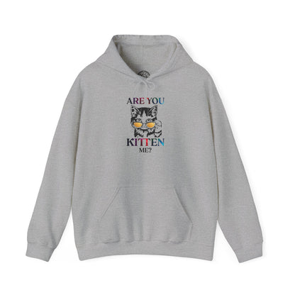 Are You Kitten Me? - Hoodie