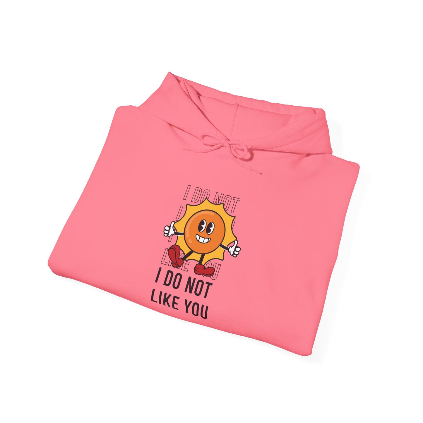 I Do Not Like You - Hoodie