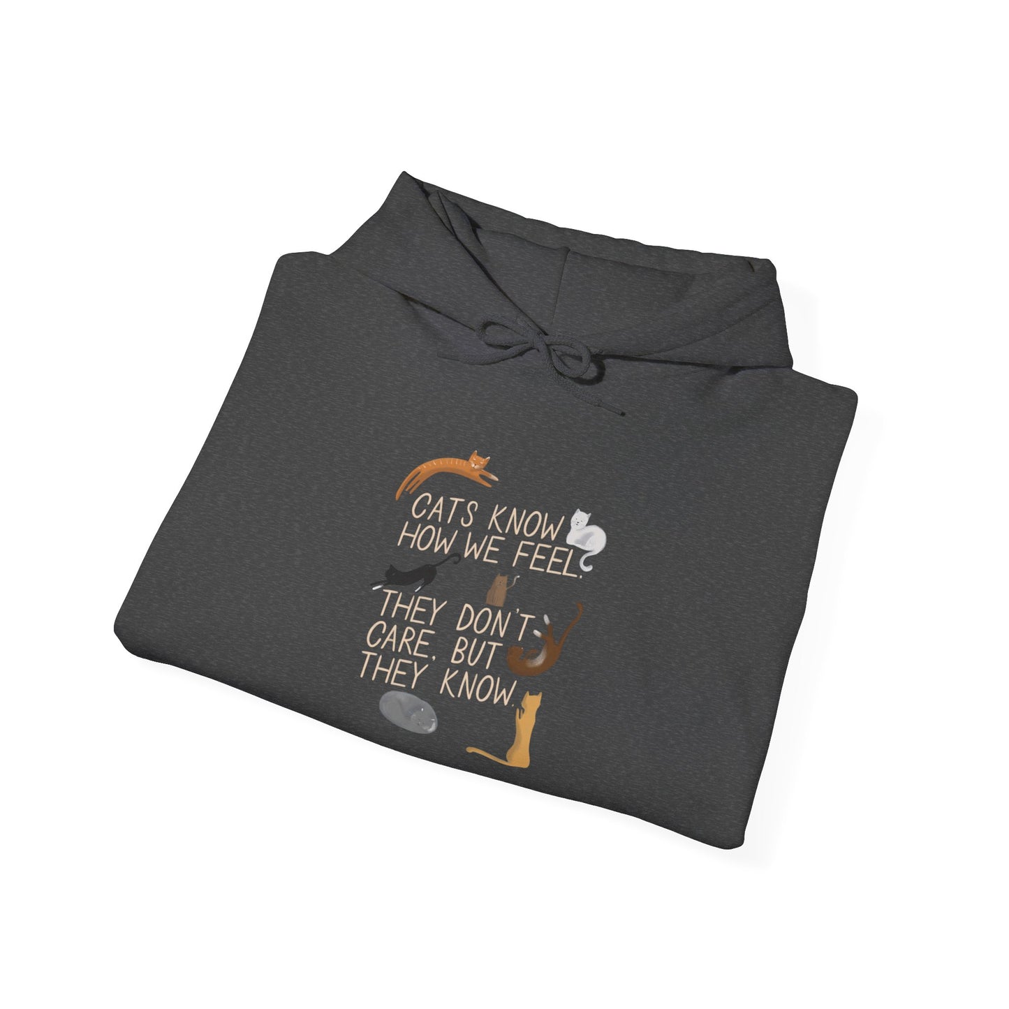 Cats Know How We Feel -  Hoodie