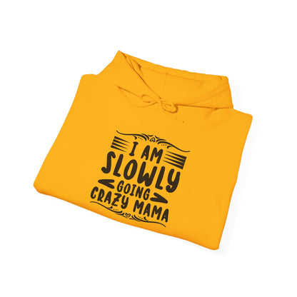 I'm Slowly Going Crazy Mama - Hoodie
