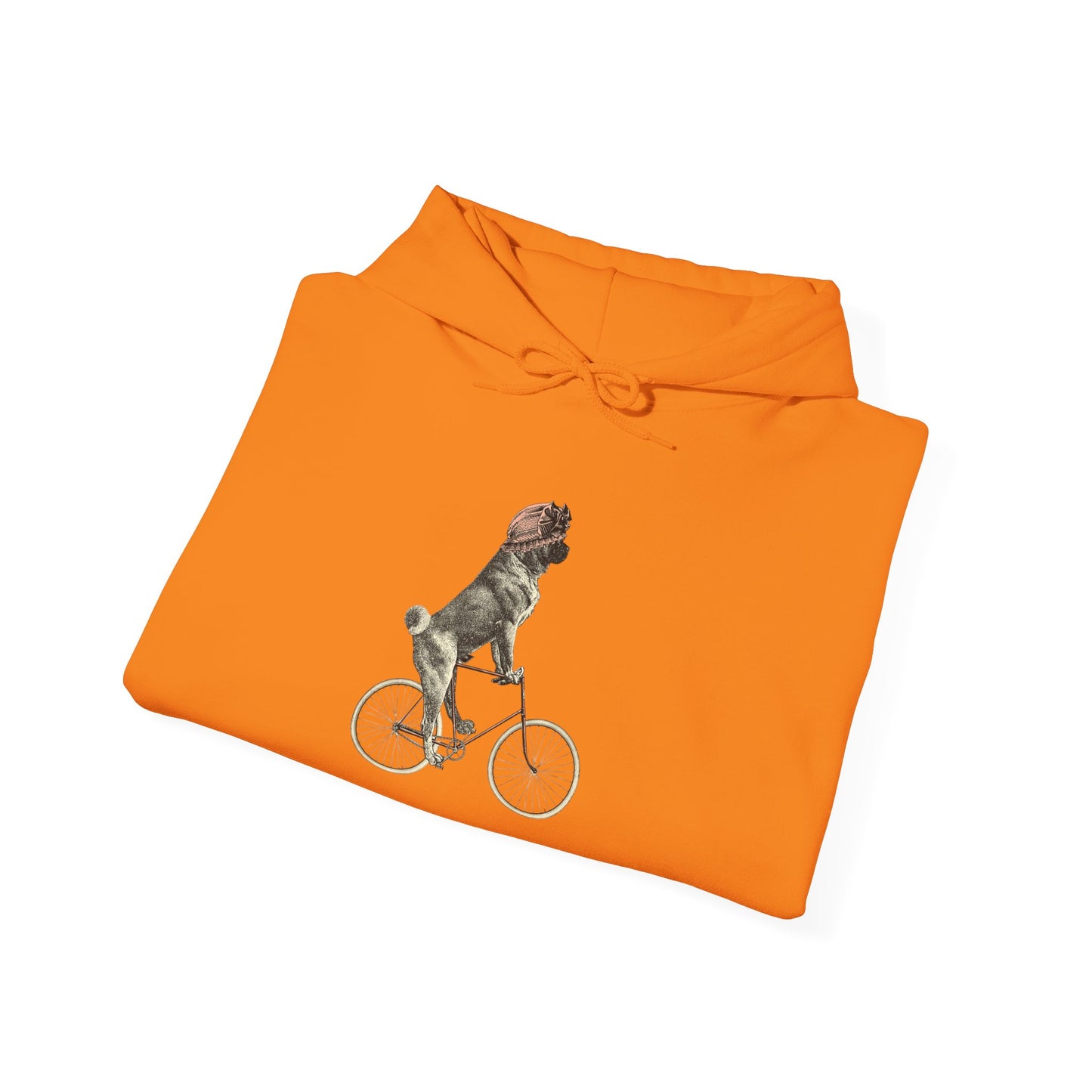 Dog on a Bicycle - Hoodie