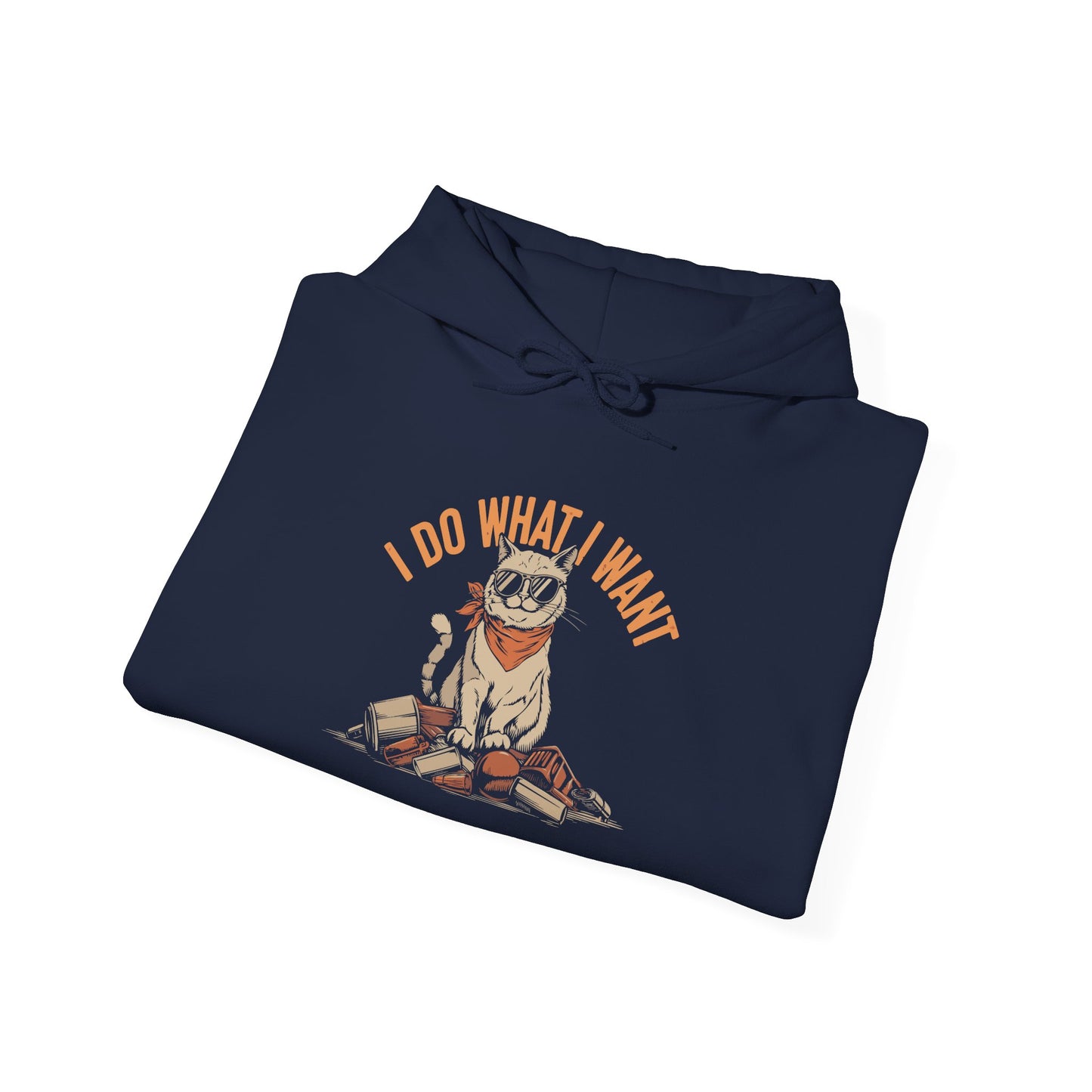 I Do What I Want -  Hoodie