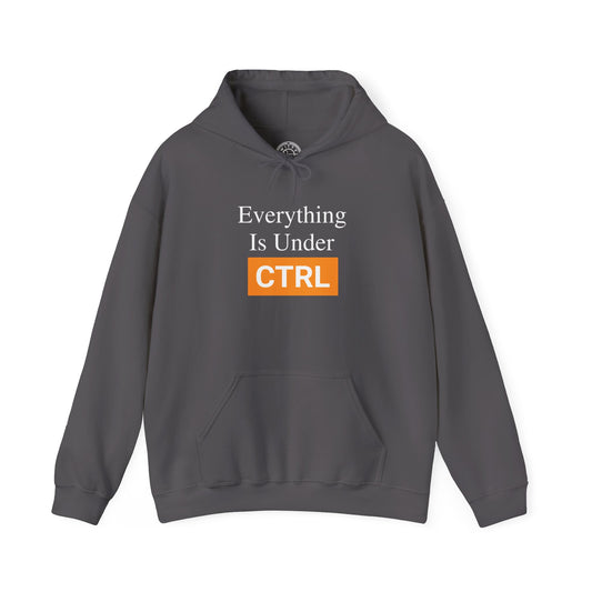 Everything is under CTRL -  Hoodie