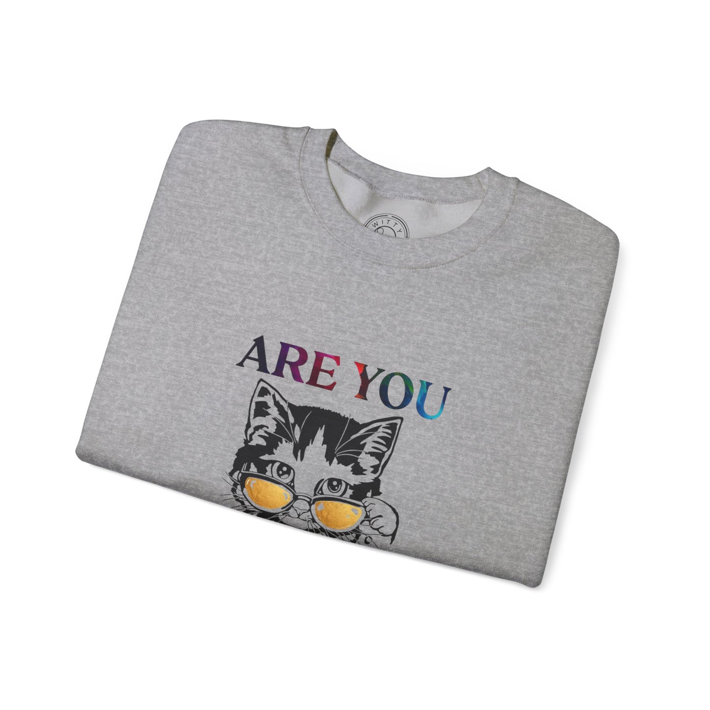 Are You Kitten Me? - Sweatshirt