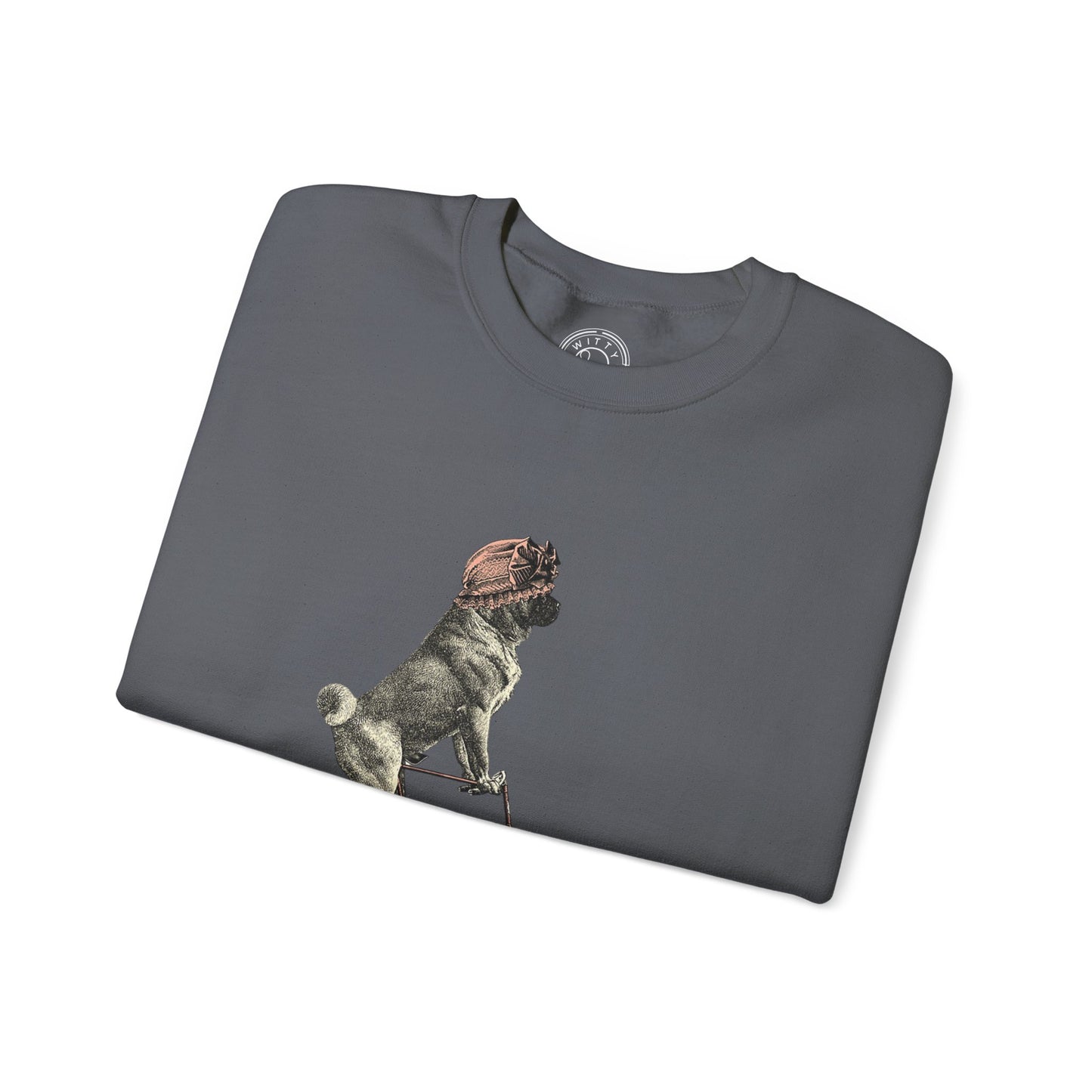 Dog on a Bicycle - Sweatshirt