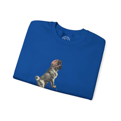 Dog on a Bicycle - Sweatshirt