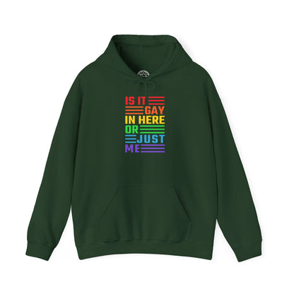 Is It Gay In Here Or Just Me - Hoodie