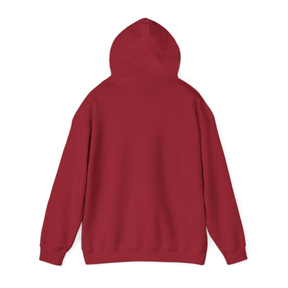 Sometimes I'm Sleeping -  Hoodie