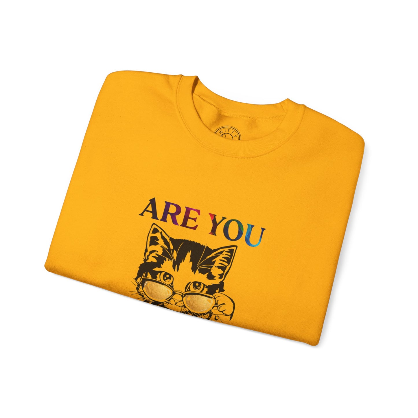 Are You Kitten Me? - Sweatshirt