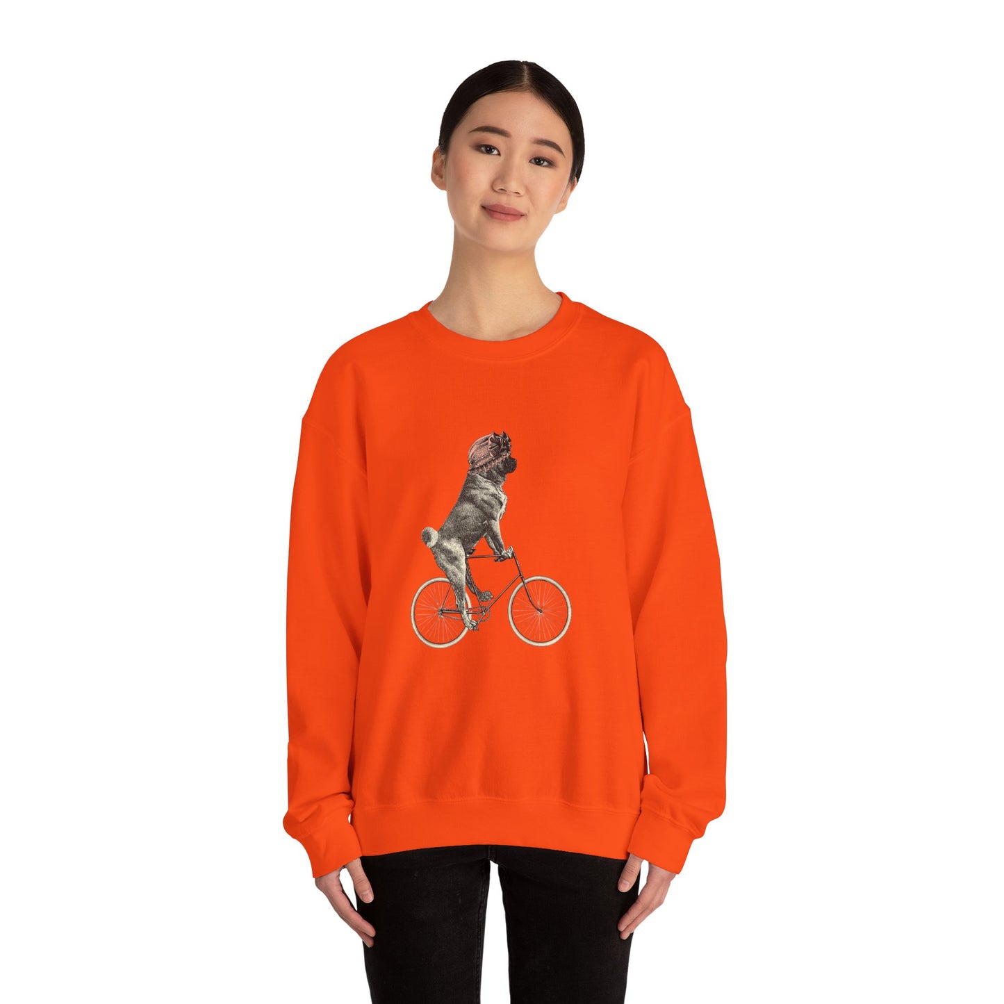 Dog on a Bicycle - Sweatshirt