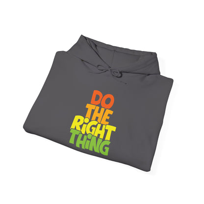 Do The Right Thing -  Hoodie