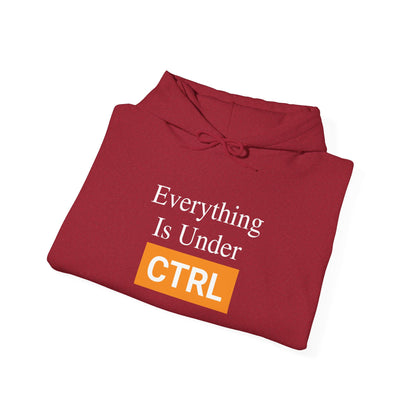 Everything is under CTRL -  Hoodie