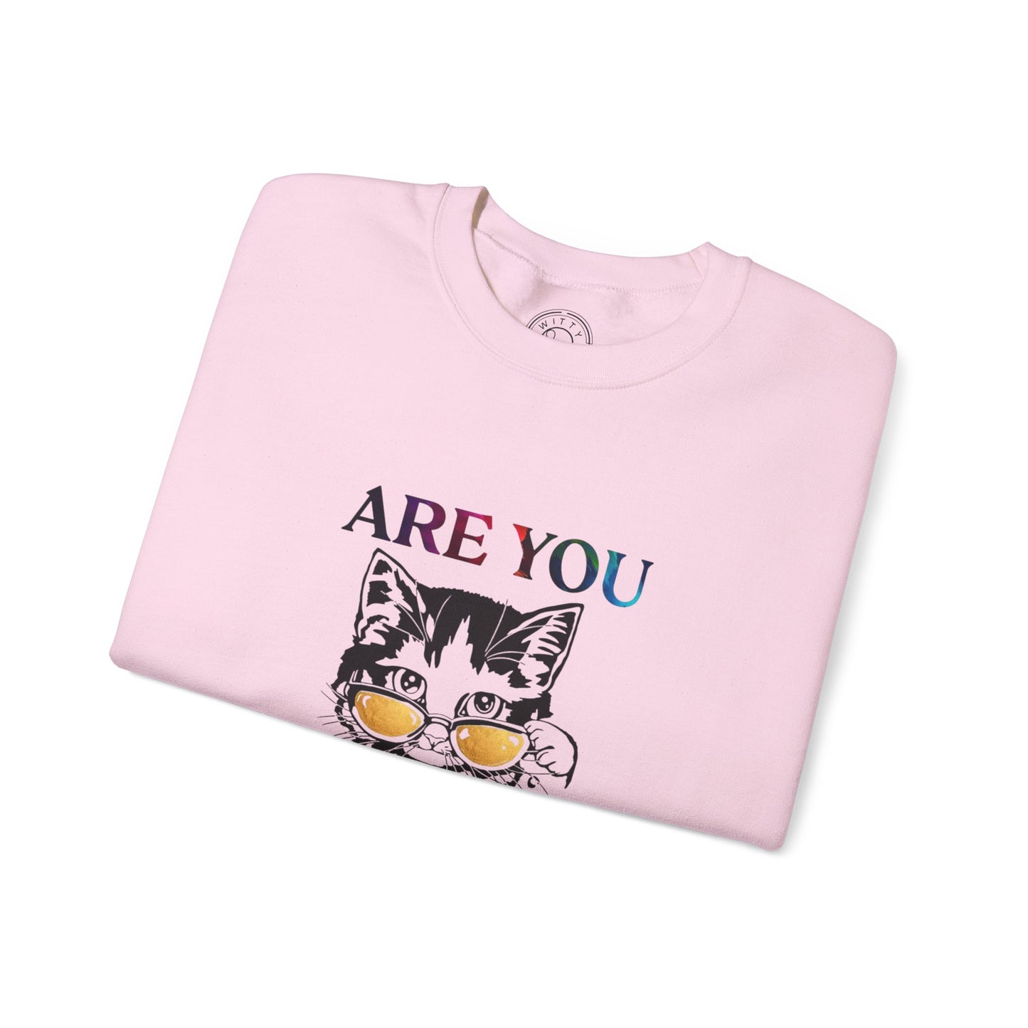 Are You Kitten Me? - Sweatshirt