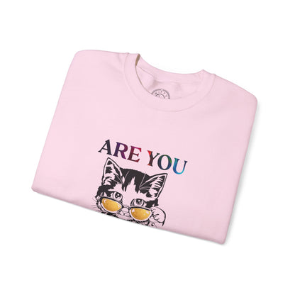 Are You Kitten Me? - Sweatshirt