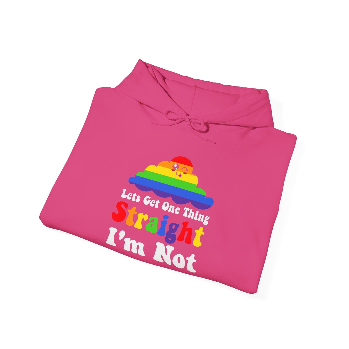 I'm NOT STRAIGHT - Hoodie