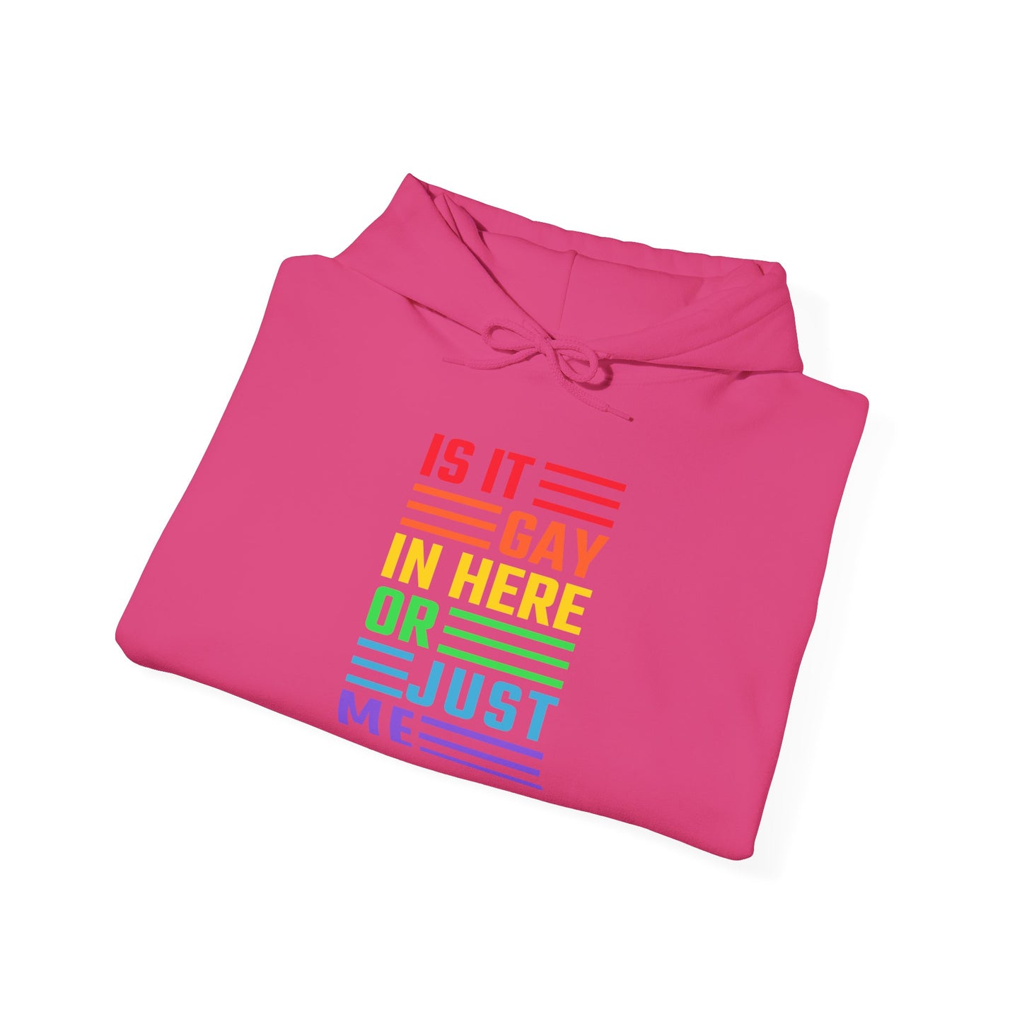 Is It Gay In Here Or Just Me - Hoodie