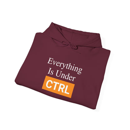 Everything is under CTRL -  Hoodie