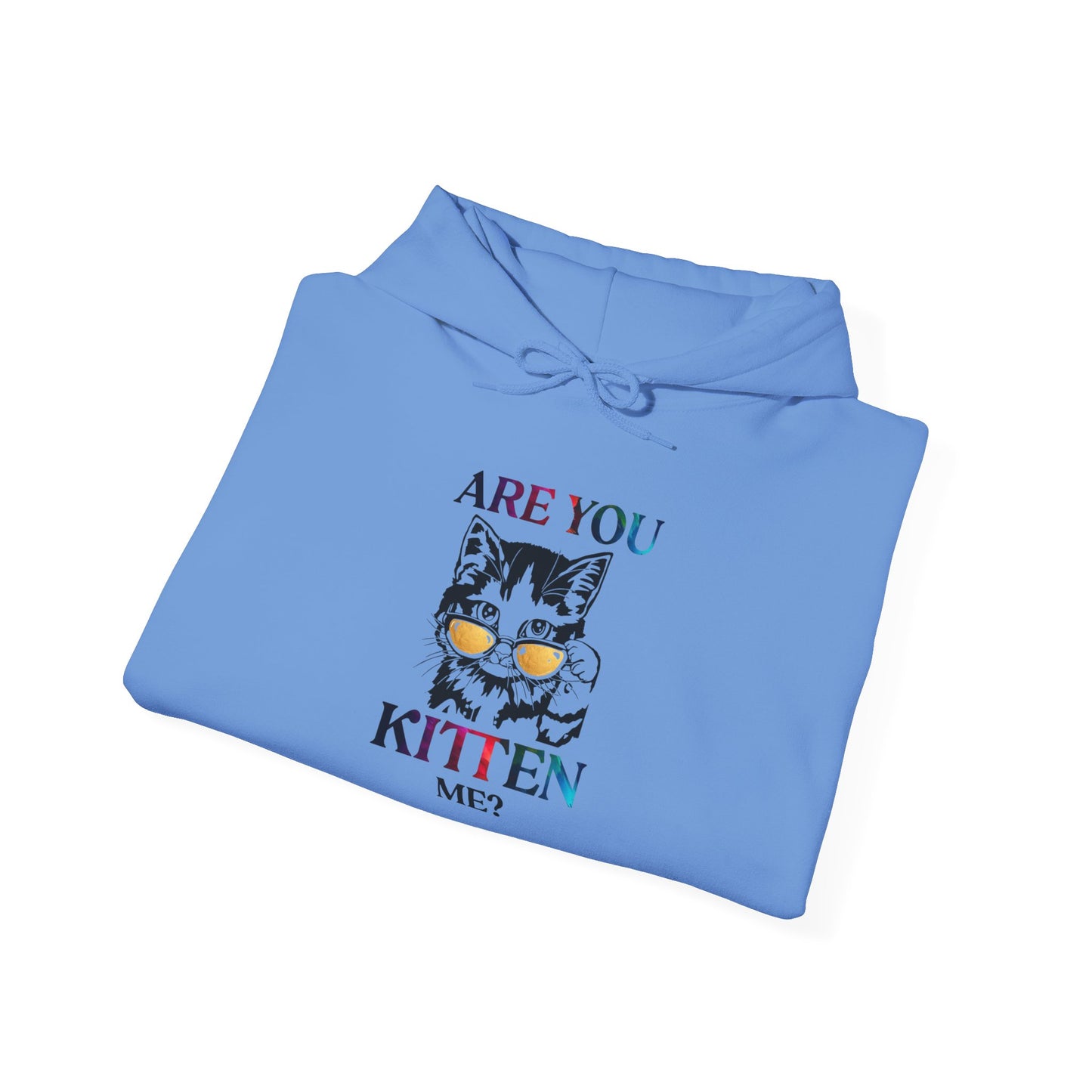 Are You Kitten Me? - Hoodie