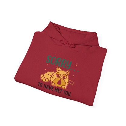 Sorry to have met you -  Hoodie