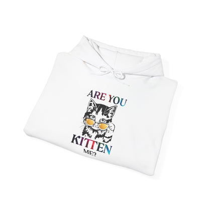 Are You Kitten Me? - Hoodie