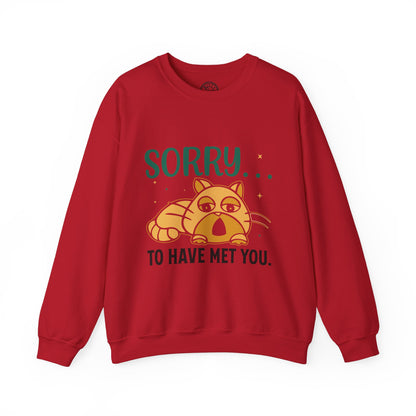 Sorry to have met you - Sweatshirt