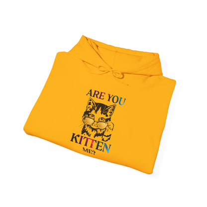 Are You Kitten Me? - Hoodie